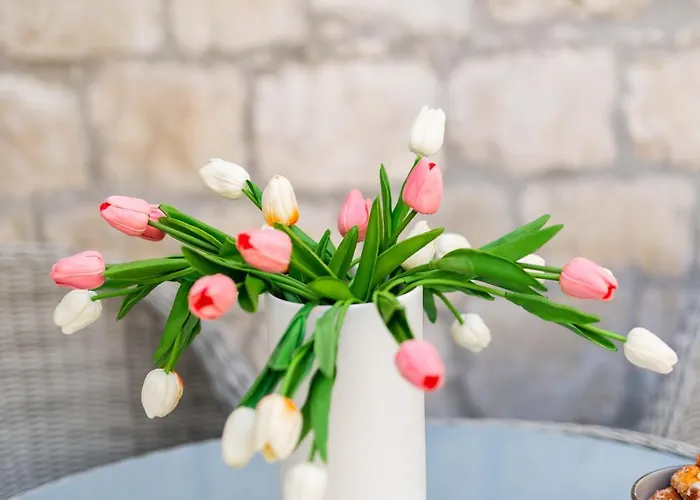 Luxury Center House דירה